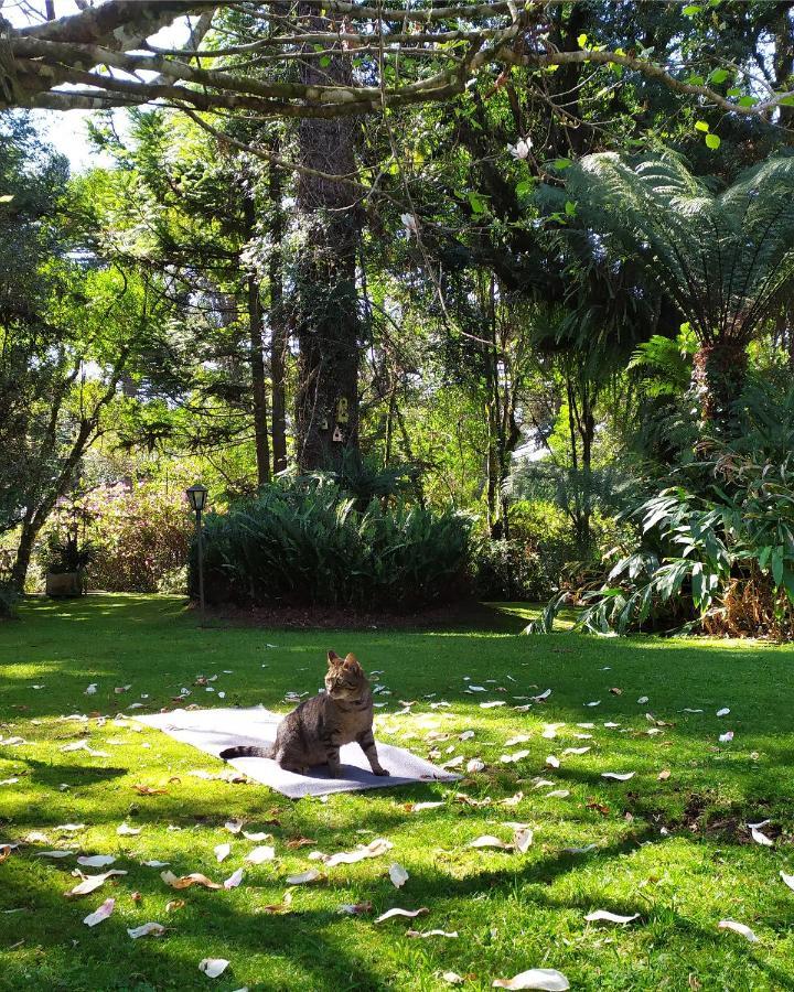 Casa Goldoni Gramado 4 Quartos Екстериор снимка
